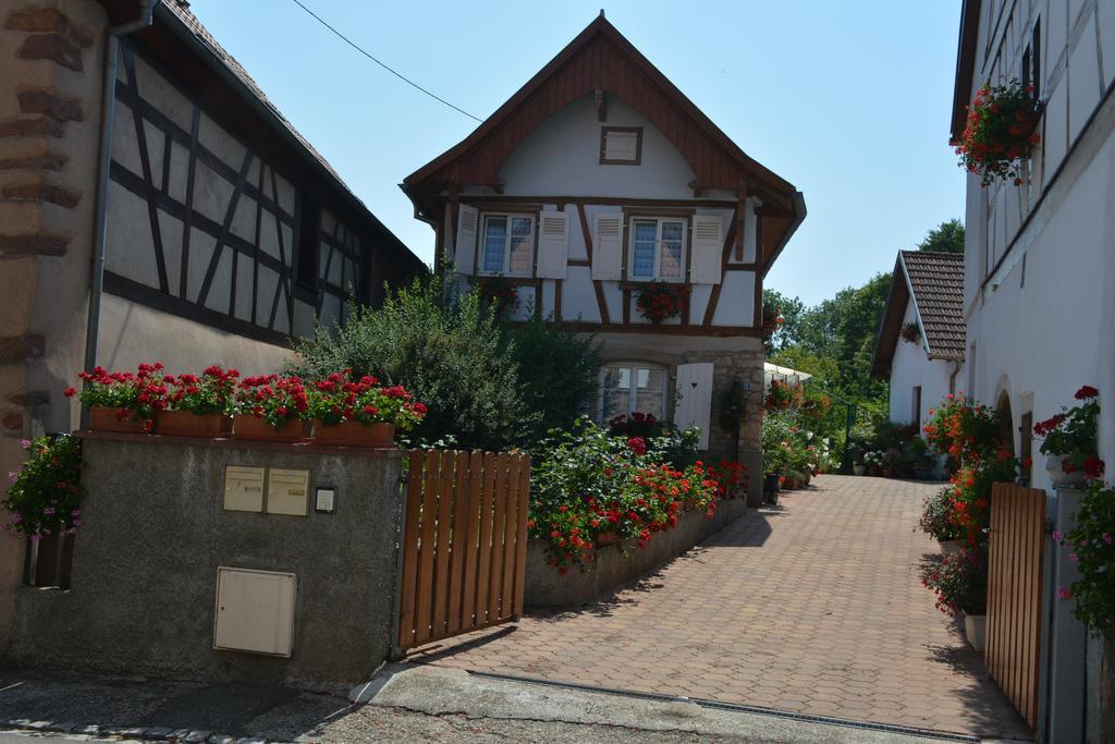 Location Alice Villa Ottrott Kamer foto