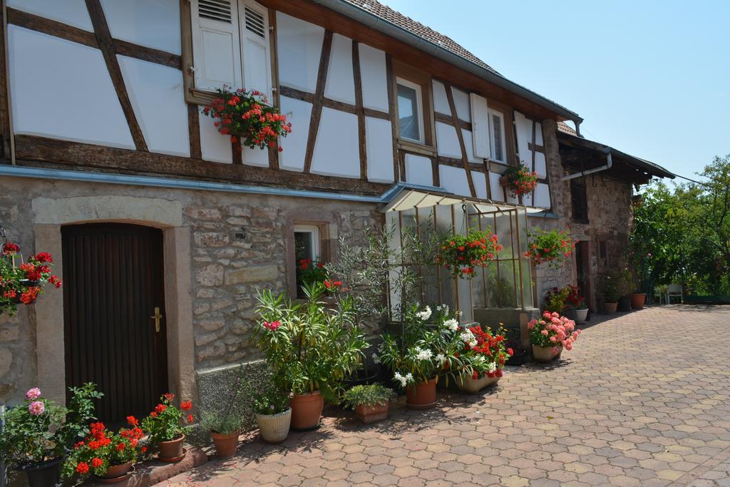 Location Alice Villa Ottrott Kamer foto
