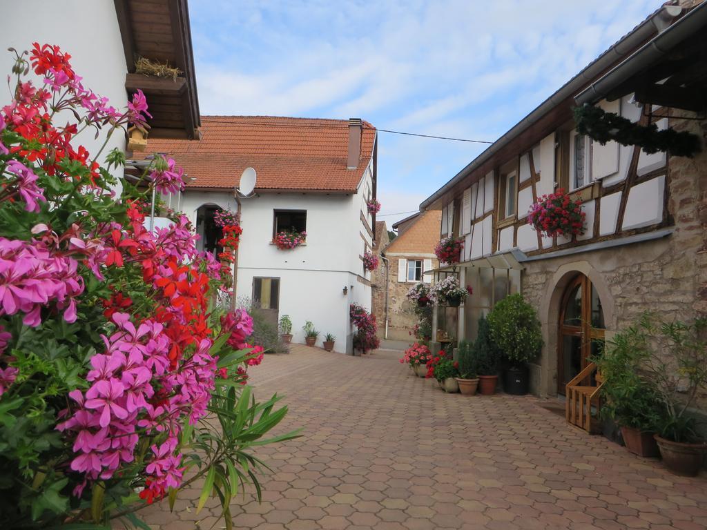 Location Alice Villa Ottrott Buitenkant foto