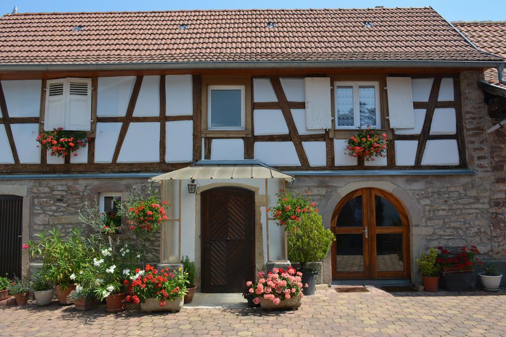 Location Alice Villa Ottrott Buitenkant foto
