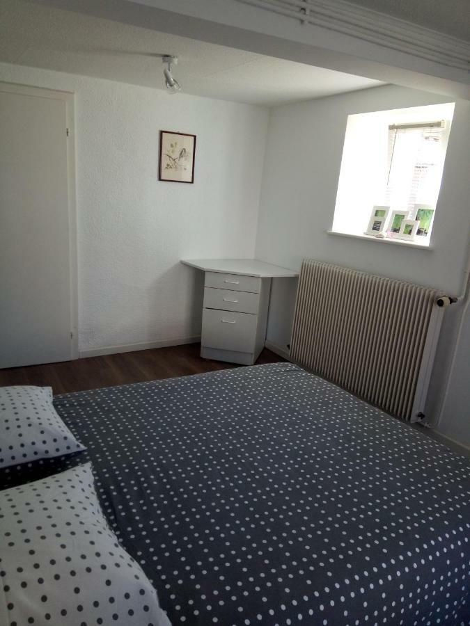 Location Alice Villa Ottrott Buitenkant foto
